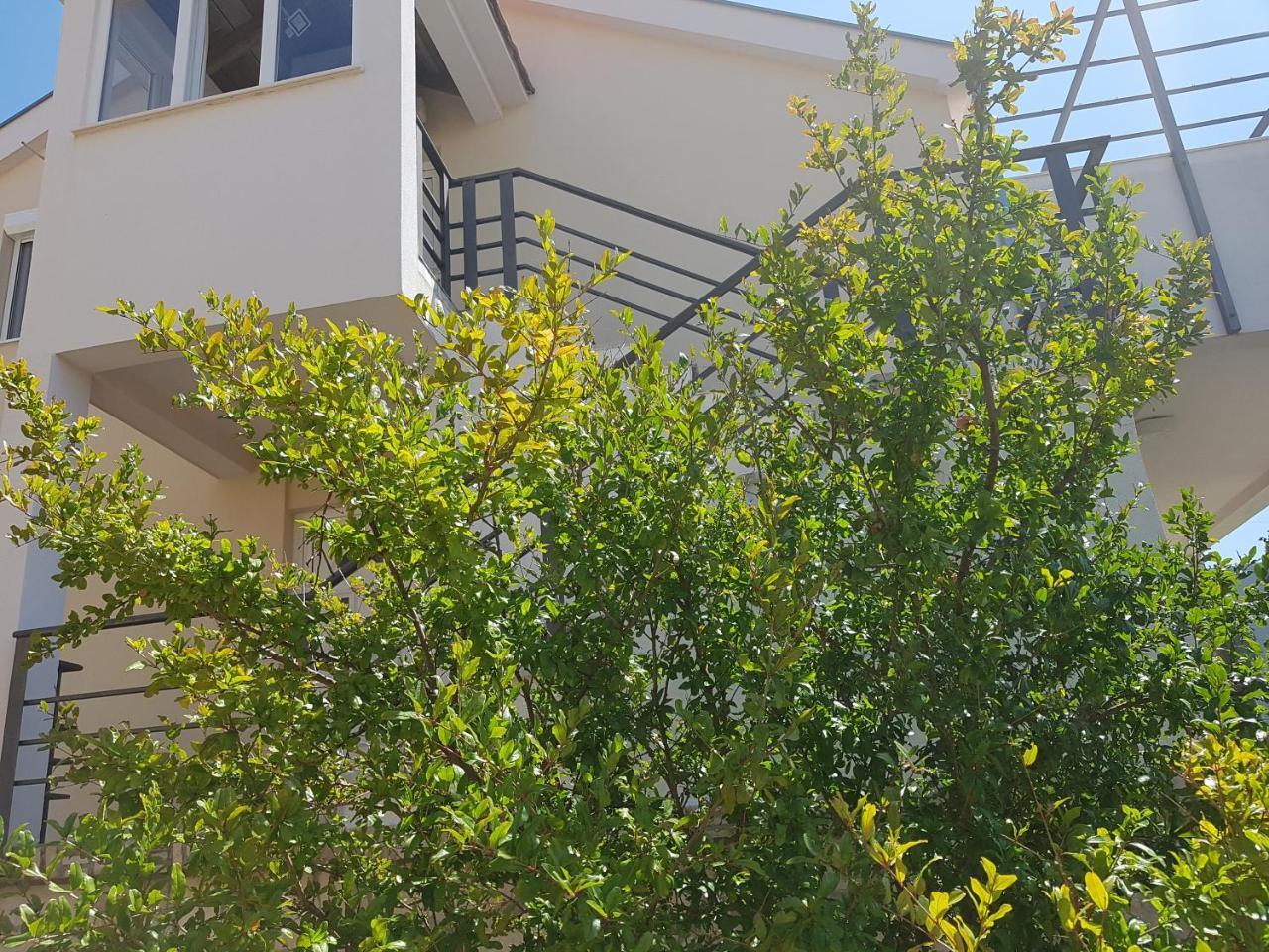 Apartments Maria Ivanica Ngoại thất bức ảnh